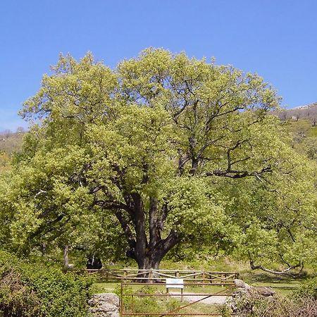 Casa Rural Romanejo Cabezabellosa 외부 사진